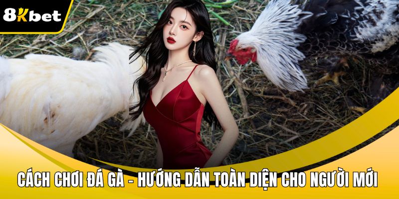 Cách chơi đá gà