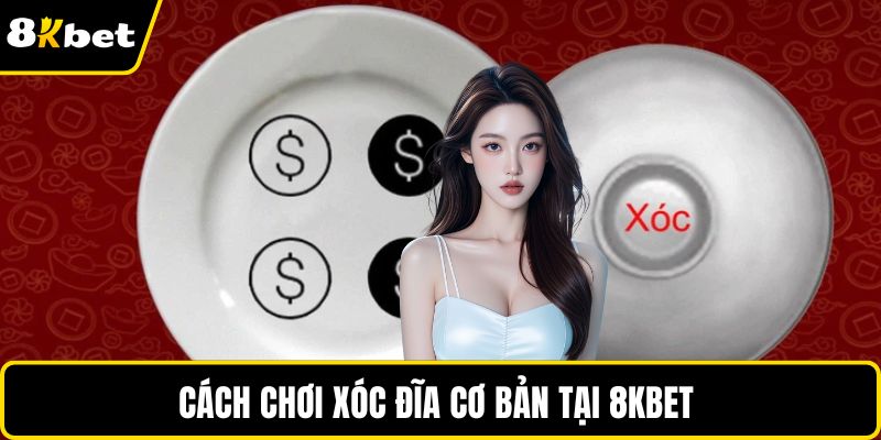 Cách chơi xóc đĩa cơ bản tại 8KBET 