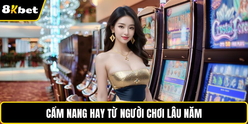 Cẩm nang hay từ người chơi lâu năm