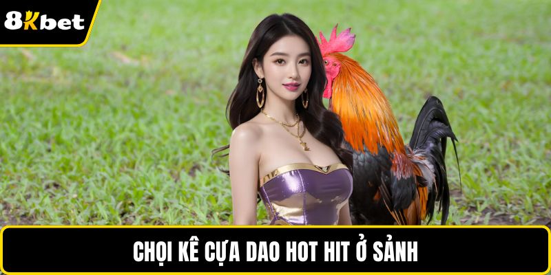 Chọi kê cựa dao hot hit ở sảnh