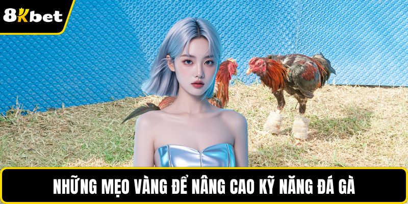 Những mẹo vàng để nâng cao kỹ năng đá gà