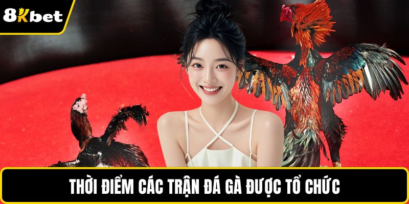 Thời điểm các trận đá gà được tổ chức