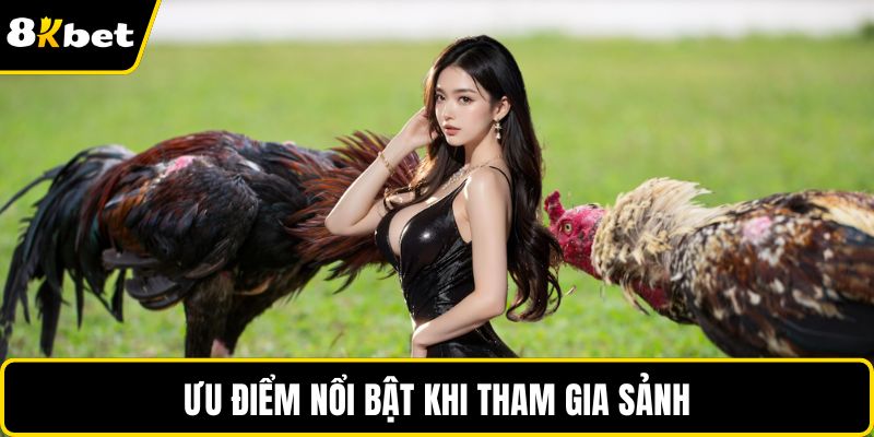 Ưu điểm nổi bật khi tham gia sảnh