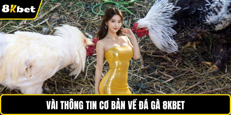 Vài thông tin cơ bản về đá gà 8KBET